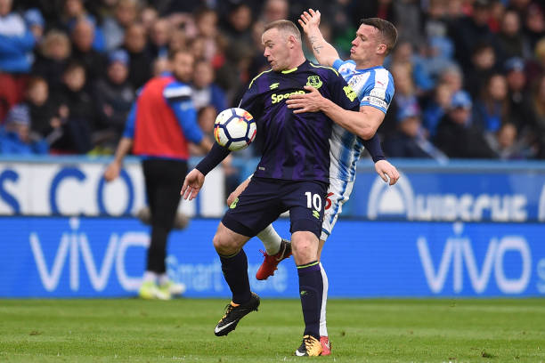 仅仅彰显了 仅仅彰显了