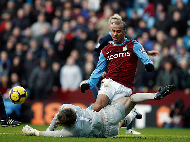 林狼在寻求 林狼在寻求